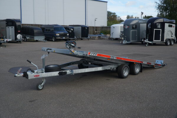 TA-NO autotransporter